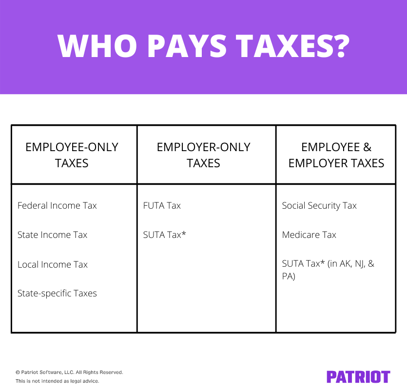 who pays taxes? chart